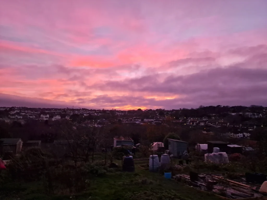 Sunset over Falmouth allotments