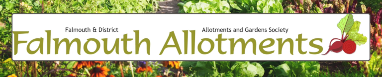 Falmouth Allotment Banner Image